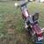 2002 Harley-Davidson Softail for Sale