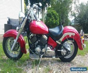 Motorcycle Yamaha XVS 650 classic 2005 for Sale