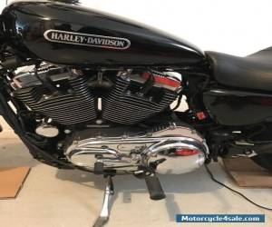 Motorcycle 2007 Harley-Davidson Sportster for Sale