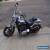 2014 Harley-Davidson Softail for Sale