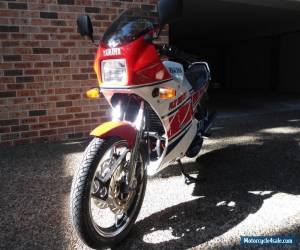 Motorcycle YAMAHA  RZ 350R  YPVS  1985 for Sale