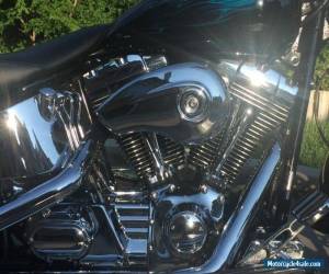 Motorcycle 2003 Harley-Davidson Softail for Sale