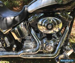 Motorcycle 2003 Harley-Davidson Softail for Sale