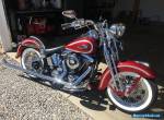 1999 Harley-Davidson Softail for Sale