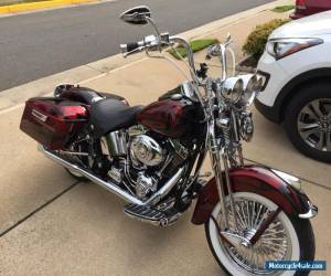 Motorcycle 2001 Harley-Davidson Softail for Sale