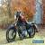 2006 Harley-Davidson Sportster for Sale