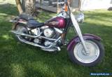 1998 Harley-Davidson Softail for Sale