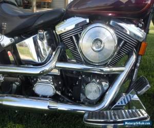 Motorcycle 1998 Harley-Davidson Softail for Sale