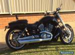 harley davidson v rod muscle for Sale