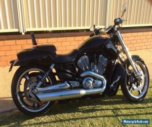 Motorcycle harley davidson v rod muscle for Sale