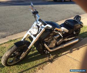 Motorcycle harley davidson v rod muscle for Sale