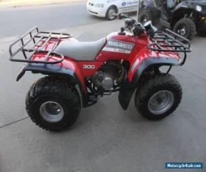 Motorcycle HONDA TRX 300 ATV QUAD BIKE (1992 MODEL) for Sale