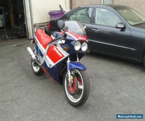 Motorcycle GSXR 1100 PROJECT SLABBY/SLABSIDE 1988 for Sale