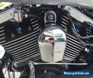 Motorcycle 1996 Harley-Davidson Softail for Sale