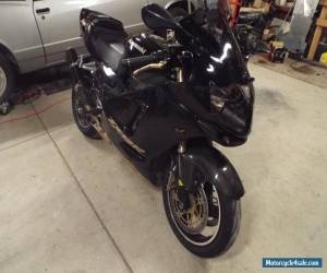 Motorcycle 2002 Kawasaki Ninja for Sale