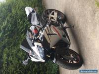 HONDA CBR 600 RR no SWAP