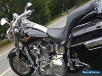 2001 Harley-Davidson Softail