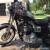 2003 Harley-Davidson Sportster for Sale