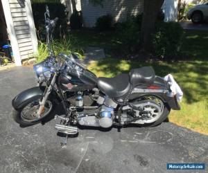 Motorcycle 2003 Harley-Davidson Softail for Sale