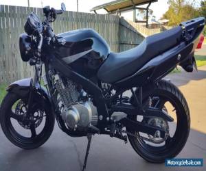 Motorcycle Suzuki GS500 2009 Excellent condition Low Km Motorcycle LAMS approved for Sale