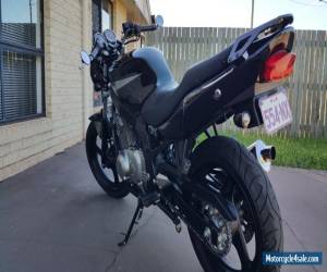 Motorcycle Suzuki GS500 2009 Excellent condition Low Km Motorcycle LAMS approved for Sale