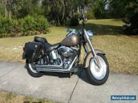 2004 Harley-Davidson Softail