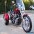 2008 Harley-Davidson Sportster for Sale