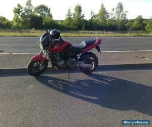 Motorcycle 1998 HONDA CB600 HORNET RED for Sale