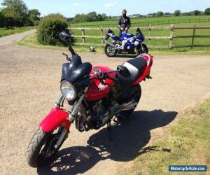 Motorcycle 1998 HONDA CB600 HORNET RED for Sale