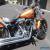 2015 Harley-Davidson Softail for Sale