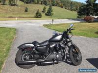 2016 Harley-Davidson Sportster