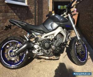 Motorcycle YAMAHA MT - 09 GREY 2013 for Sale