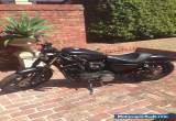Harley Davidson Iron 883 Black Denim  for Sale