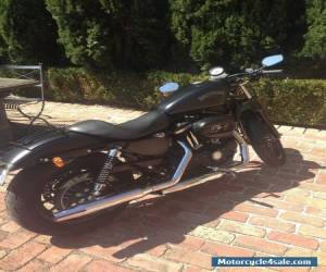 Motorcycle Harley Davidson Iron 883 Black Denim  for Sale