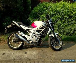 2009 Suzuki SFV 650 Gladius (not SV650, Bandit, ER6N) for Sale