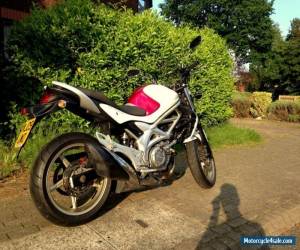 Motorcycle 2009 Suzuki SFV 650 Gladius (not SV650, Bandit, ER6N) for Sale