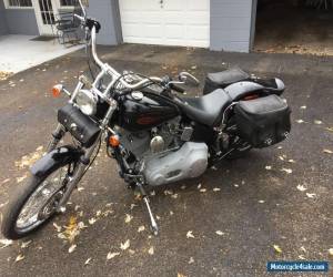 Motorcycle 2004 Harley-Davidson Softail for Sale