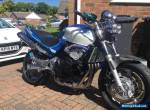 1998 HONDA CB600 HORNET BLUE for Sale