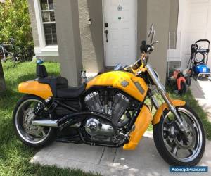 Motorcycle 2012 Harley-Davidson VRSC for Sale