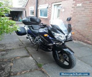 Motorcycle Suzuki DL1000 VStrom for Sale