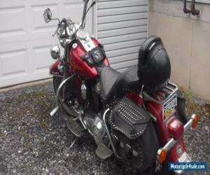 Motorcycle 1994 Harley-Davidson Softail for Sale