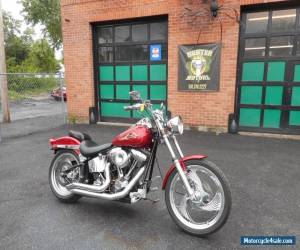 Motorcycle 2001 Harley-Davidson Softail for Sale