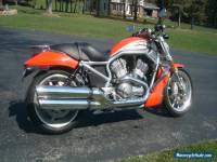 2006 Harley-Davidson VRSC