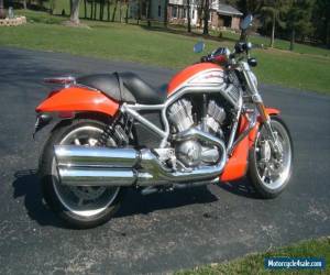 Motorcycle 2006 Harley-Davidson VRSC for Sale