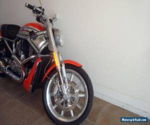 Motorcycle 2006 Harley-Davidson VRSC for Sale