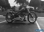 2013 Harley-Davidson Softail for Sale