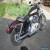 2005 Harley-Davidson Sportster for Sale