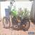 1989 Harley-Davidson Softail for Sale