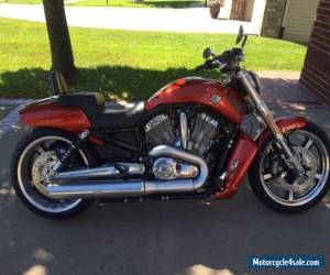 Motorcycle 2013 Harley-Davidson VRSC for Sale