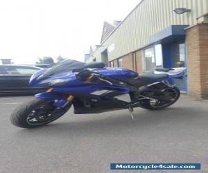 Motorcycle 2008 YAMAHA YZF R6 08 BLUE 600cc for Sale